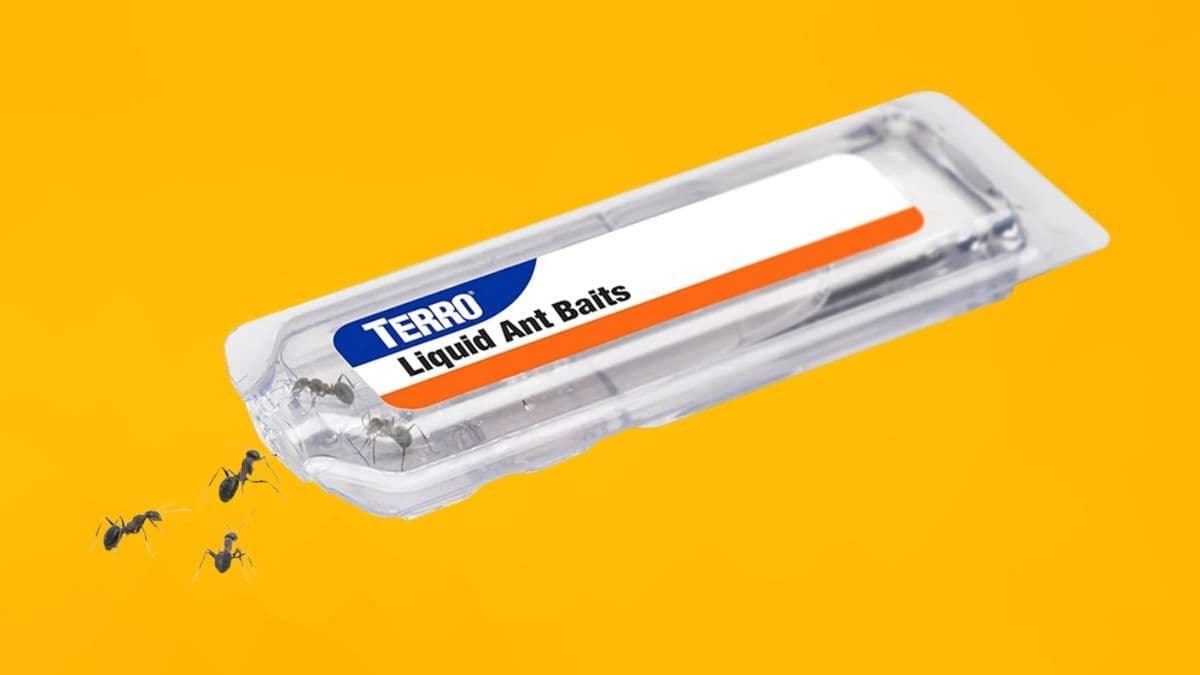TERRO T300B Ant Killer Bait Stations: How This Slow-Acting Formula Helps Eliminate Ant Colonies