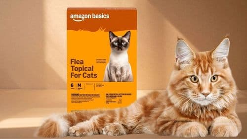 Amazon Basics Topical Flea Treatment for Medium Cats: Why It Works for Routine Monthly Protection